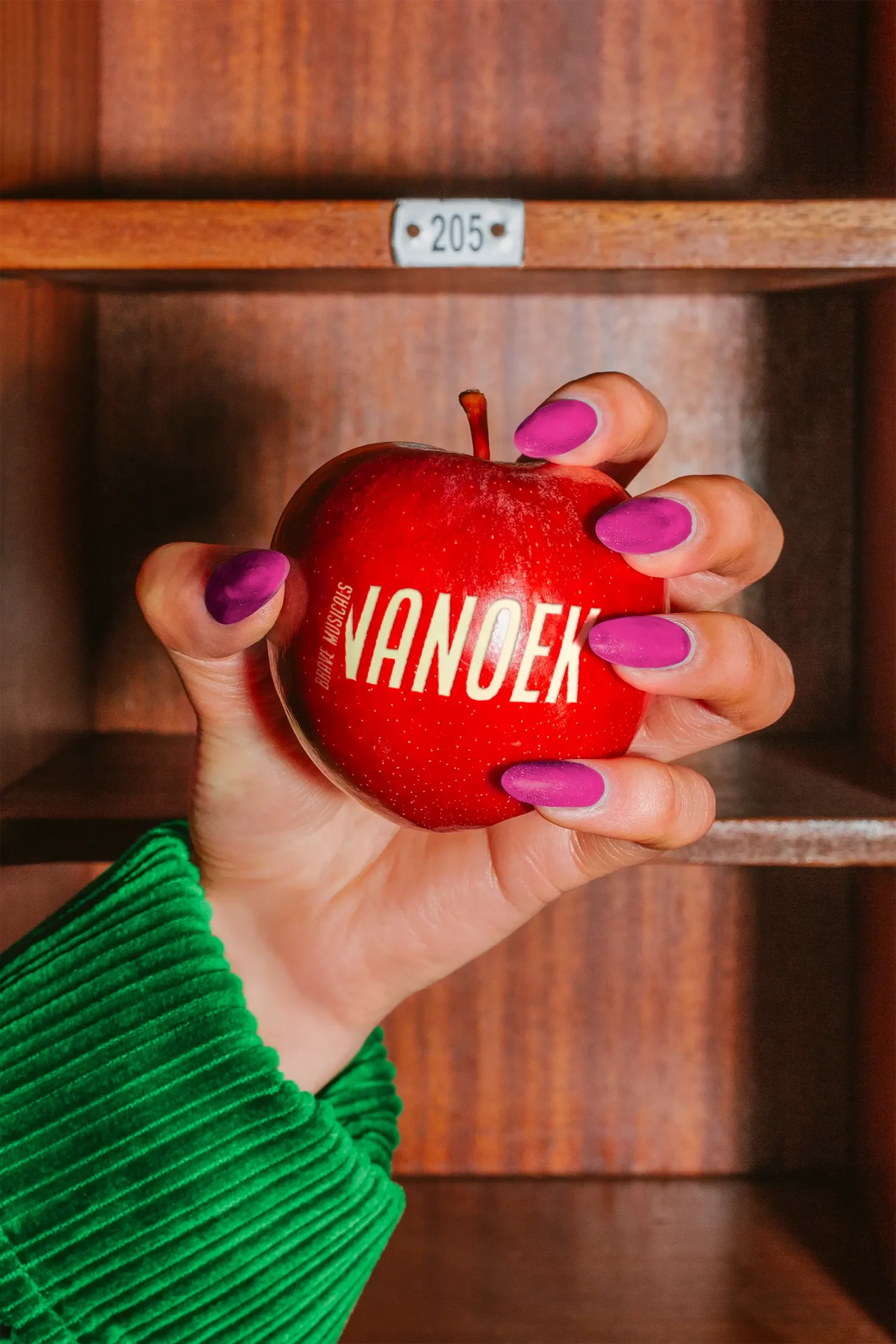 NANOEK Brave Musicals Logo Design